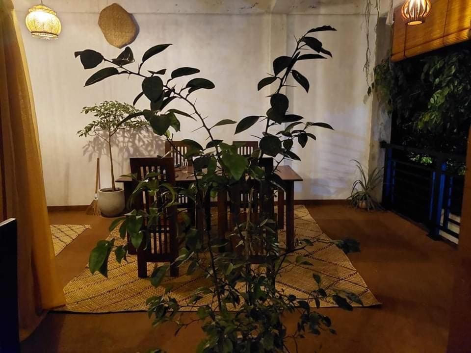 Kingcity Resort أنرادابورام المظهر الخارجي الصورة